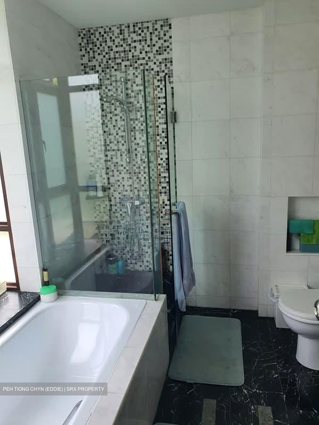 Amaninda (D11), Condominium #593602091